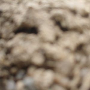 Meet your Posher, Lavera